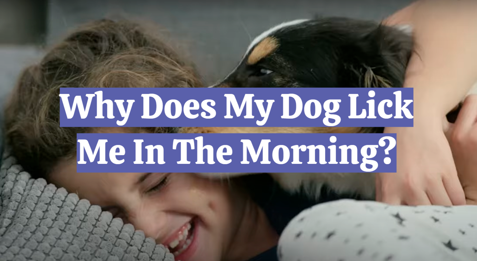 Why Does My Dog Lick Me In The Morning?