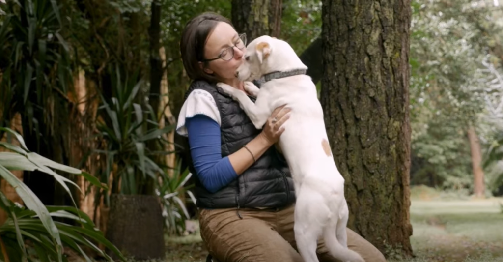 Do dogs understand when you kiss them