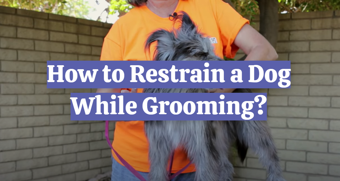 How to Restrain a Dog While Grooming?