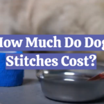 How Much Do Dog Stitches Cost?