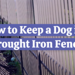 How to Keep a Dog in a Wrought Iron Fence?