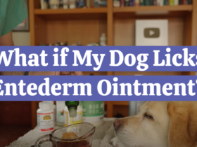What if My Dog Licks Entederm Ointment?