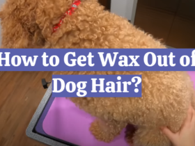 How to Get Wax Out of Dog Hair?