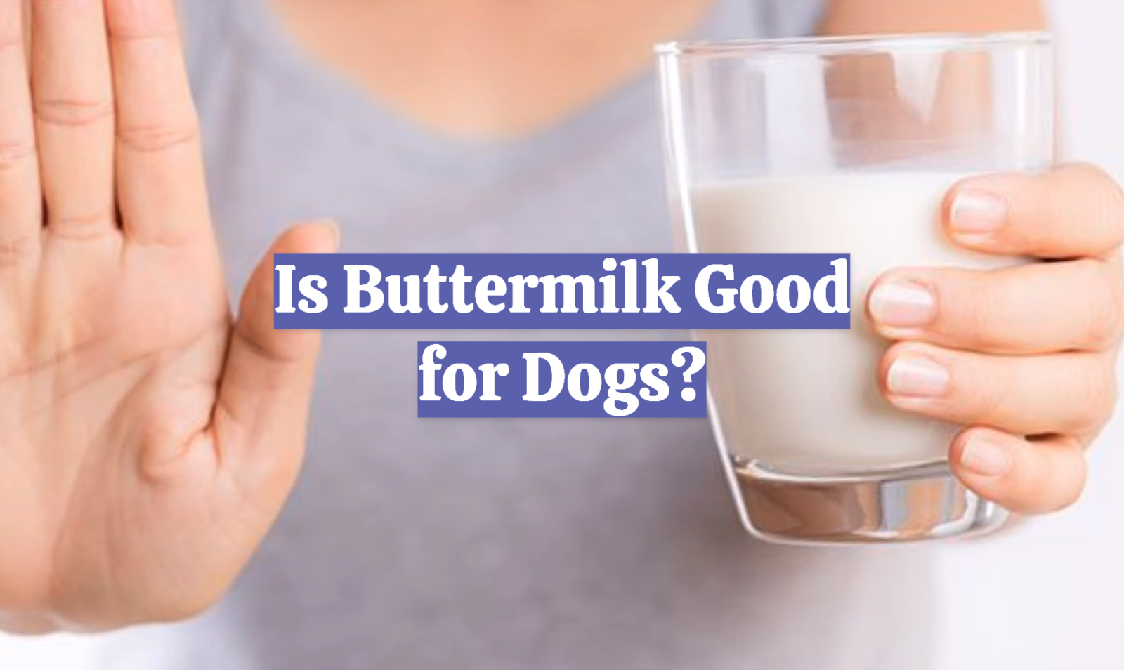 Is Buttermilk Good for Dogs?