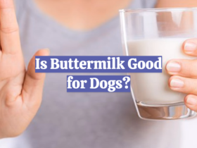 Is Buttermilk Good for Dogs?